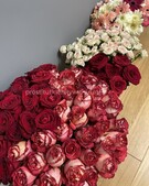 Анкета проститутки Елизавета - метро Красносельский, возраст - 25